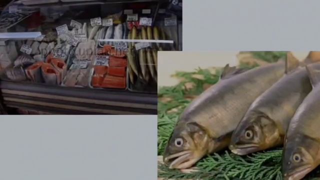 Классный час на тему «Всемирный день моря» смотреть онлайн