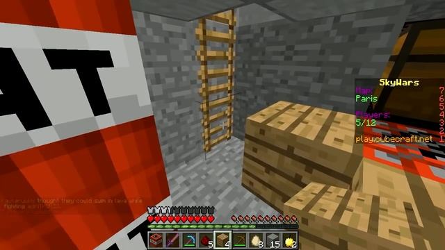 TRAMPA DE TNT MINECRAFT | SKIN TROLL SECRETA DE TNT смотреть онлайн