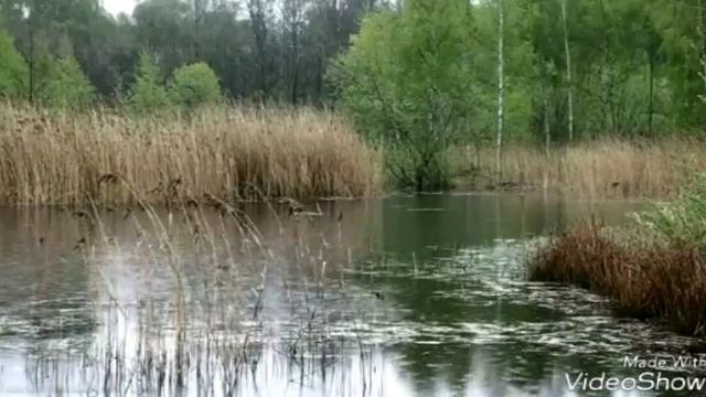 Красивая музыка под шум дождя и раскаты грома смотреть онлайн