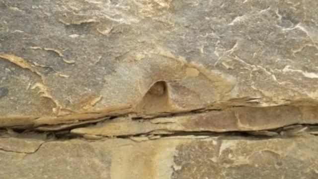 НОЕВ КОВЧЕГ/ Обращение к противникам версии,что Ковчег НОЯ находится в Чечне/1/ смотреть онлайн