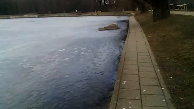 спасатели ломают лёд на Западном Терлецком пруду смотреть онлайн