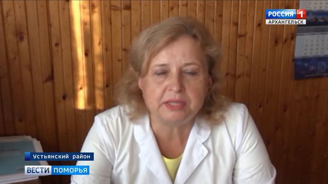 Уточняются обстоятельства ЧП в Устьянском районе, где в больницу попали 17 детей из Подмосковья смотреть онлайн