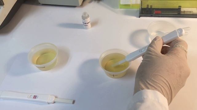 Acro Biotech, Inc - hCG Pregnancy Test Demonstration смотреть онлайн