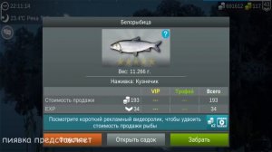 БЕЛОРЫБИЦА ловим на разных локациях  #MyFishingworld
