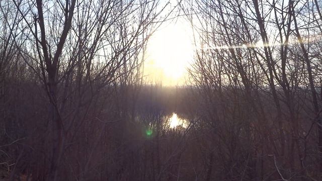 город уфа 19 апреля 2023 закат солнца