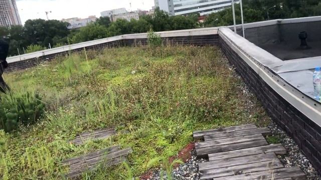 На московских крышах разобьют цветники и газоны смотреть онлайн