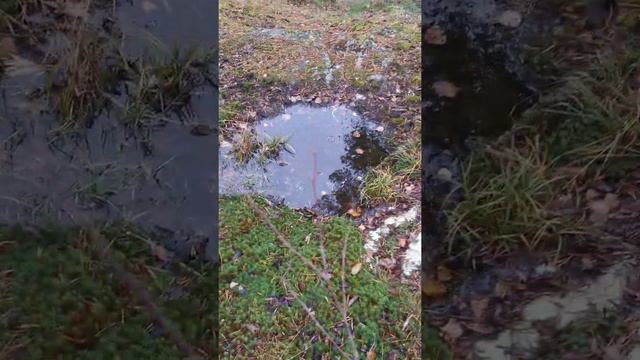 Святилище на горе Ахмаваара. Часть I смотреть онлайн