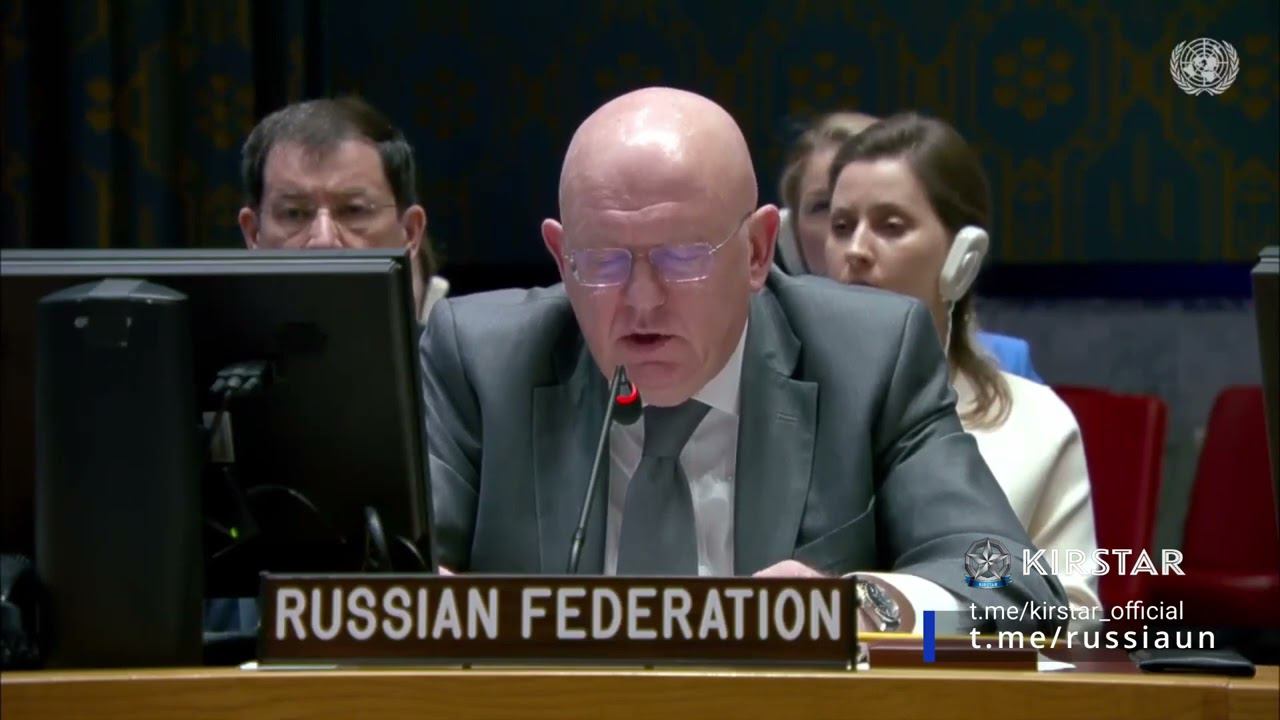 Как Василий Небензя шлюх воспитывает в Совбезе. смотреть онлайн