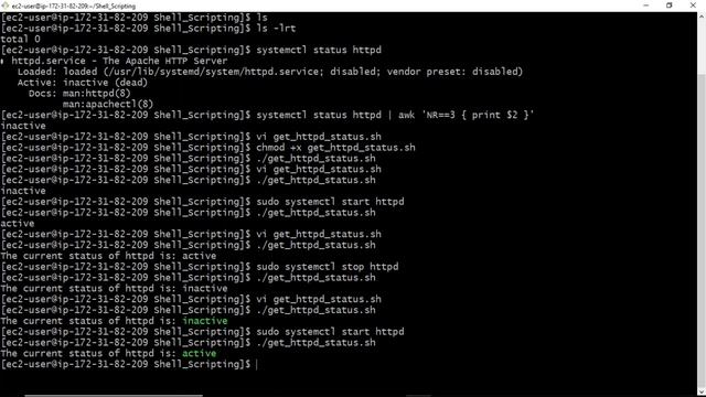 Complete Shell Scripting Tutorials | Input and Output commands of a shell scripting смотреть онлайн