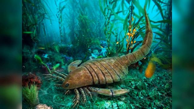 Благодаря изучению окаменелостей был обнаружен огромный морской скорпион смотреть онлайн