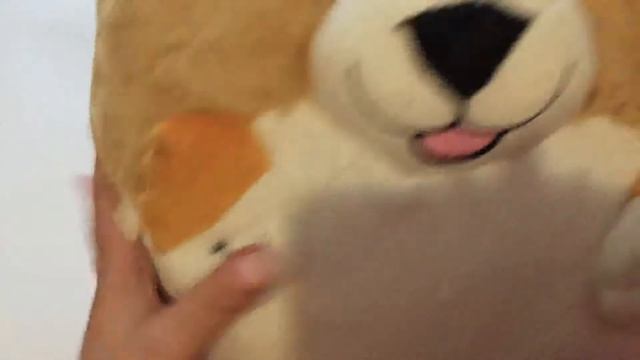 Мягкая игрушка с AliExspress. Плюшевая круглая собака с алиэкспресс смотреть онлайн