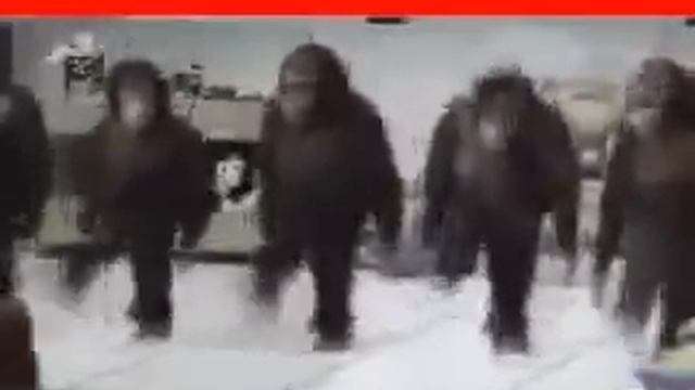 Армянский танец под турецкую музыку,Armenische Volkstanz z смотреть онлайн