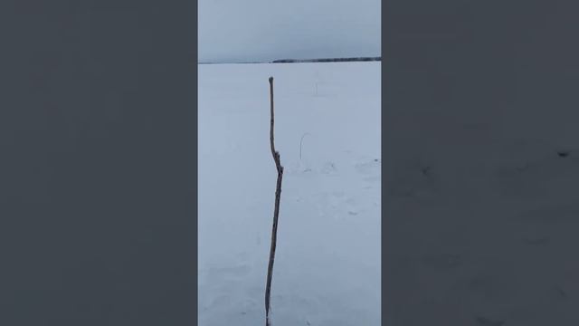 Жерлицы на налима! смотреть онлайн