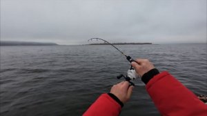 рыбалка с лодки в отвес на судака#