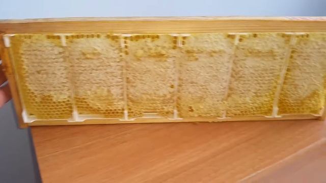 Сотовый мёд 2015 г. смотреть онлайн