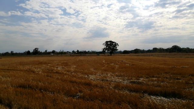 Отдых в Набрани. Роща и Населенный пункт смотреть онлайн