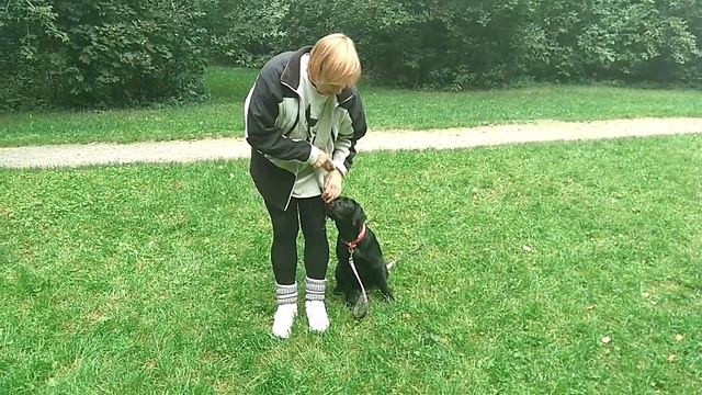 Базилика смотреть онлайн