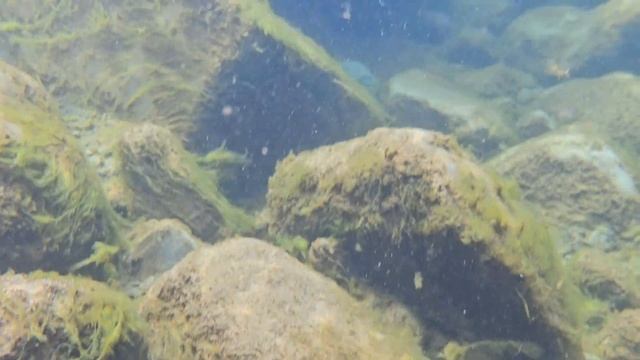 La Réunion : Traversée en solitaire - 4K (11 jours) смотреть онлайн