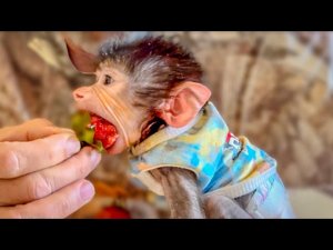 Сте��ашка соглашается есть клубнику только если ПАПА РЯДОМ)))