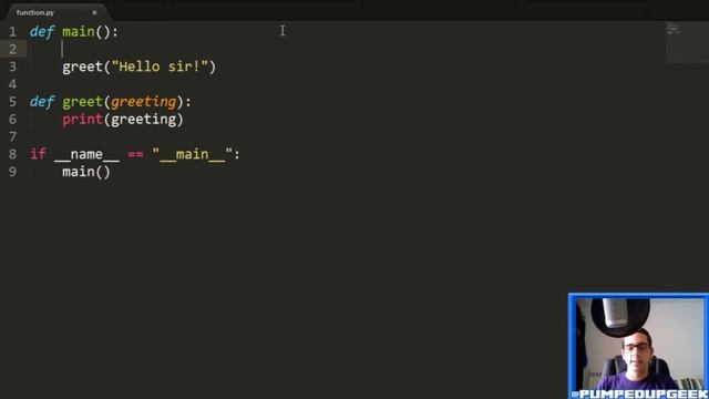 BPP #13: Function Parameters & Getting User Input смотреть онлайн