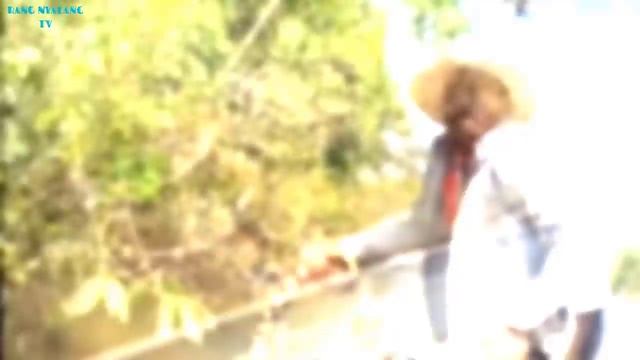 TERLIHAT SANGAT JELAS!! ULAR BESAR RAKSASA TEREKAM OLEH KAMERA WARGA DI SUNGAI смотреть онлайн