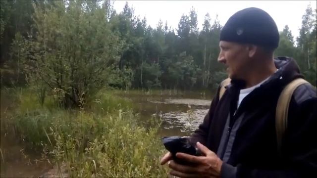 Кормёжка малька золотистого карася смотреть онлайн