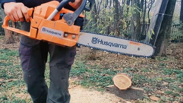 Husqvarna 254xp Vs Husqvarna 254