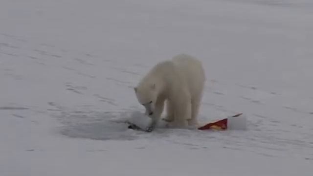 Это заполярий в тундре ...вахта наша .Варондэй заполярные ночи с северном сиянием . смотреть онлайн