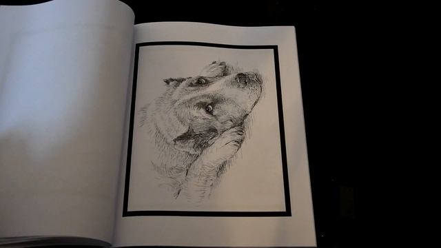 Adult Coloring Book Flip Through ; Fifty Fun Fur Babies смотреть онлайн