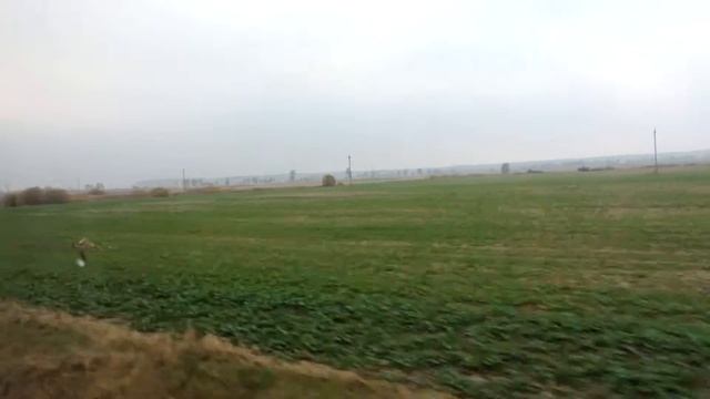 Калининградская область Дорога на Правдинск смотреть онлайн