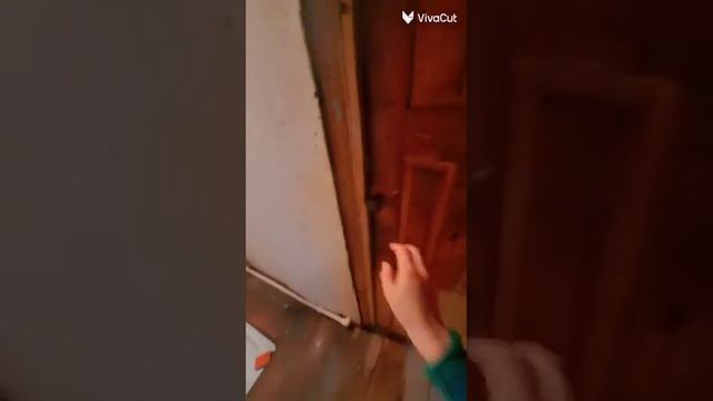 Видео WhatsApp 2023 02 24 в 22 59 58 смотреть онлайн
