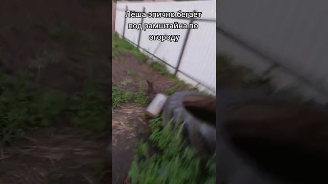 И правда эпично смотреть онлайн