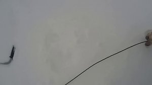 Зимняя рыбалка. Ловля на Экраны (Телевизоры)