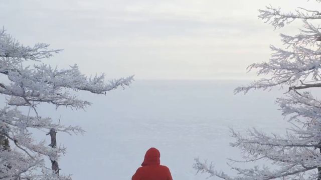 Байкал 2021, Побег Изюбров/Baikal Lake, Red Deer Escape! смотреть онлайн