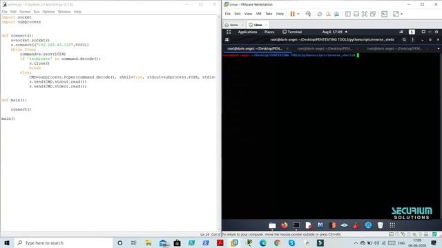PYTHON FOR PENETRATION TESTING | TCP REVERSE SHELL USING PYTHON | RETRIEVE FILES FROM VICTIM PC смотреть онлайн