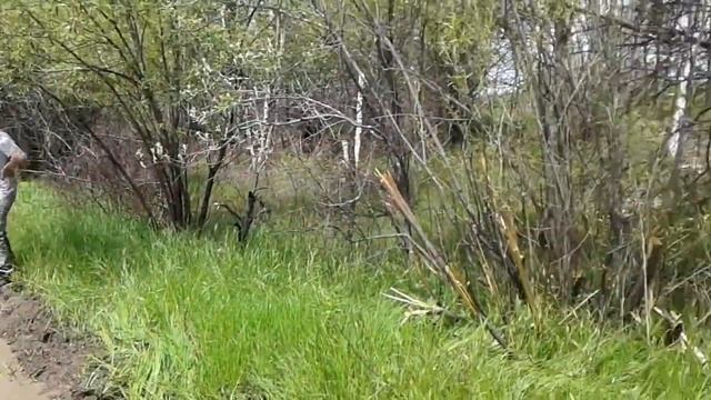 avtogarajh suzuki в БЕЗДОРОЖЬЕ на лебедке Хабаровск смотреть онлайн