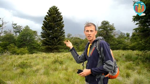 Настоящая ПАТАГОНИЯ| АРГЕНТИНА смотреть онлайн