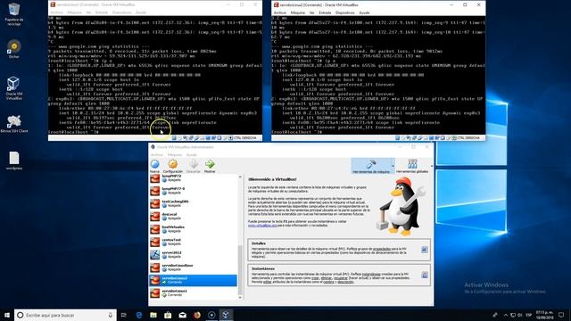 Modo Red Nat en VirtualBox смотреть онлайн