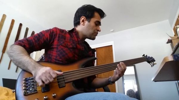 Ibanez Fretless Portamento Bass Guitar - SRF705