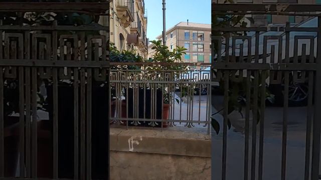 почему в Сицилии кругом стоят головы и шишки смотреть онлайн