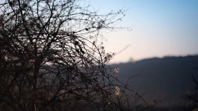 Canon EOS 5D markII 50mm f 1.8 смотреть онлайн