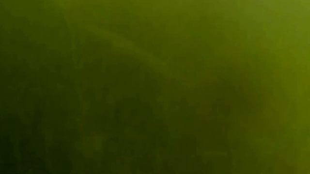 купаемся на речке смотреть онлайн