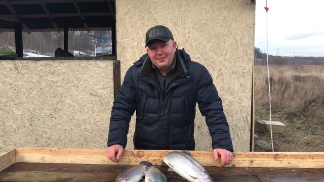 Мисайлово - Юра о сегодняшней рыбалке смотреть онлайн