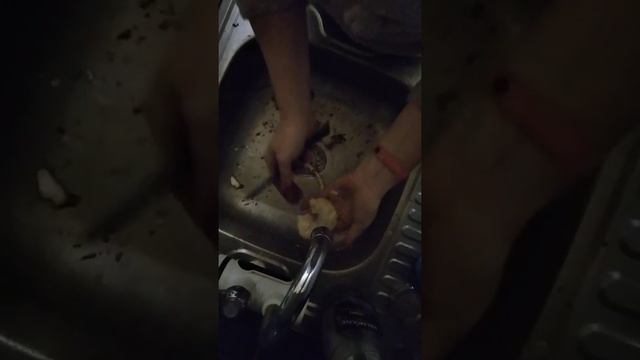 как приготовить Зонтик за 7минут ну очень вкусно как отбевная смотреть онлайн