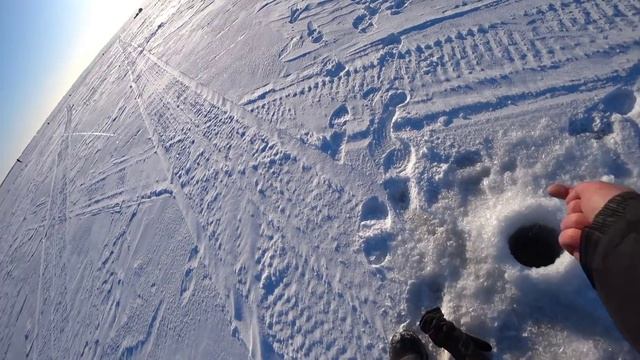 Ловля судака зимой. Рыбалка на ПРЫЩ. смотреть онлайн