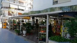 Где купить ЦВЕТЫ в Салоу и магазин игрушек.