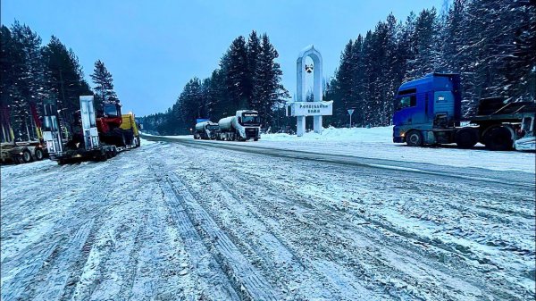 Komatsu -Лесной комплекс в Тайгу / Северо-Западный Федеральный Округ / РЕСПУБЛИКА КОМИ
