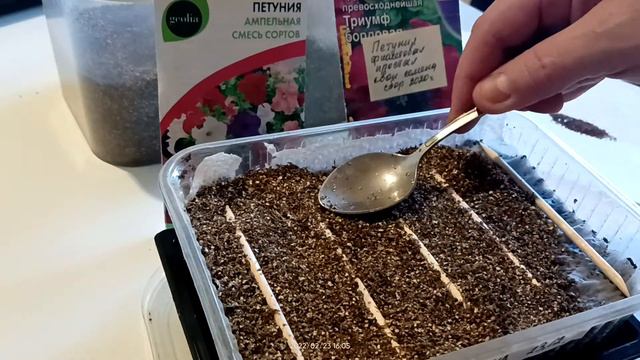 Посев петунии 23.02.2022 г.