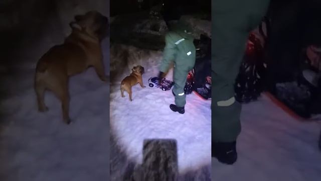 Гоняем на квадрике !!!! смотреть онлайн