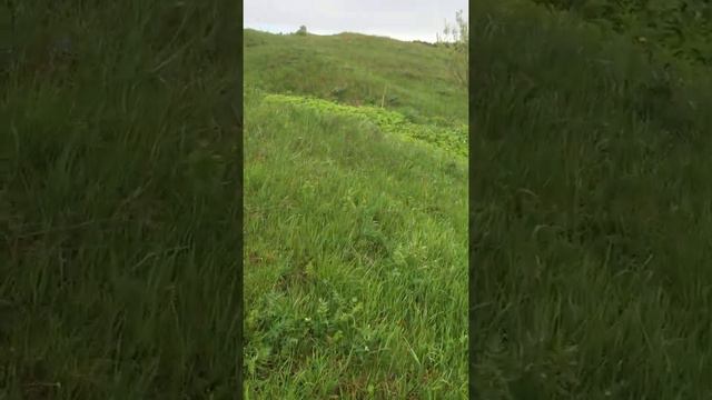 Река Тверца и д.Паника (старая дорога) смотреть онлайн